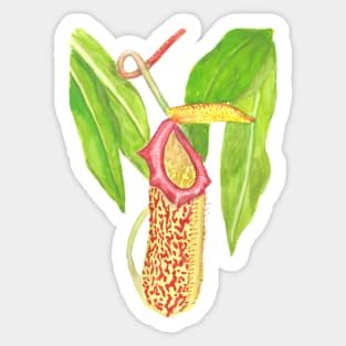 Carnivorous plant Sticker